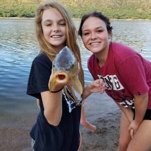 Meet your Posher, Linda